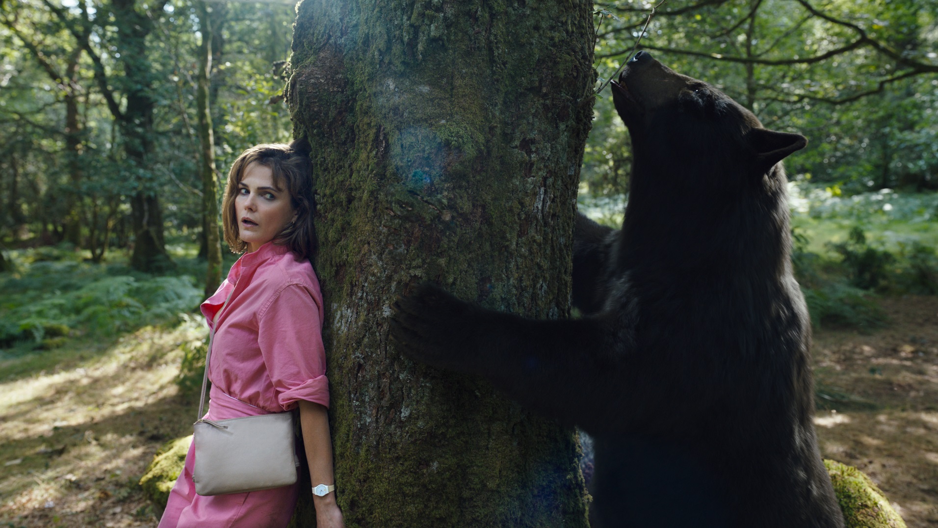 Keri Russell hides on one side of a tree while an angry bear hugs the other in the movie Cocaine Bear.